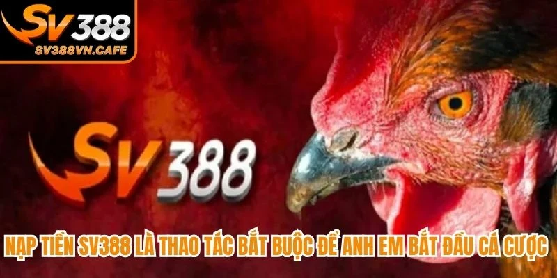 Nạp tiền SV388 là thao tác bắt buộc để anh em bắt đầu cá cược online